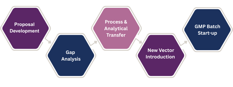 OXBs technology transfer service process visual